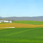 Valley-Spring-scaled-1